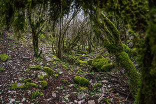 Fotos-Griechenland-Zagoria-Meteora