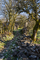 Fotos-Griechenland-Zagoria-Meteora