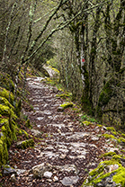 Fotos-Griechenland-Zagoria-Meteora