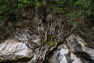 Fotos-Griechenland-Zagoria-Meteora