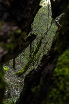 Fotos-Griechenland-Zagoria-Meteora