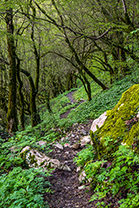 Fotos-Griechenland-Zagoria-Meteora
