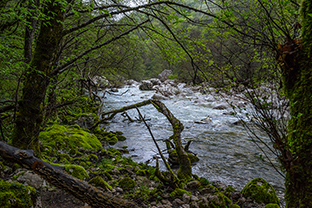 Fotos-Griechenland-Zagoria-Meteora