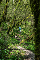 Fotos-Griechenland-Zagoria-Meteora