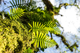 Fotos-Griechenland-Zagoria-Meteora