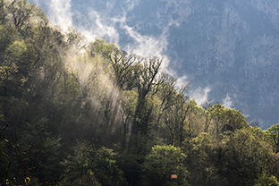 Fotos-Griechenland-Zagoria-Meteora