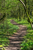 Fotos-Griechenland-Zagoria-Meteora