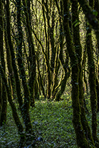 Fotos-Griechenland-Zagoria-Meteora