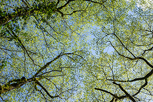 Fotos-Griechenland-Zagoria-Meteora