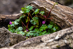 Fotos-Griechenland-Zagoria-Meteora