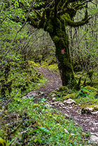 Fotos-Griechenland-Zagoria-Meteora